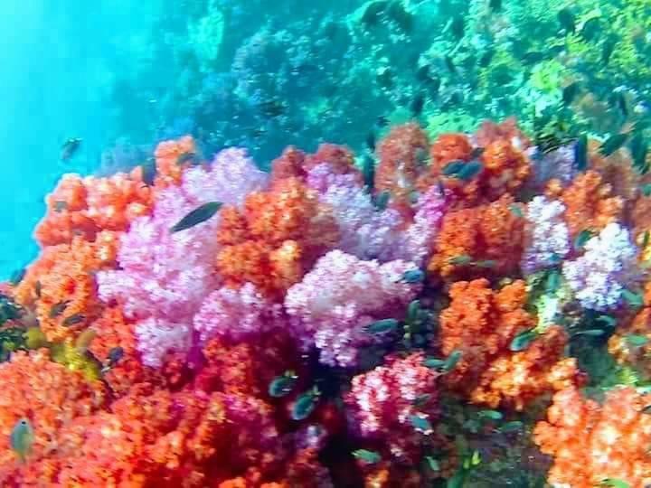 ホテル Daya Hill Seaview リペ島 エクステリア 写真